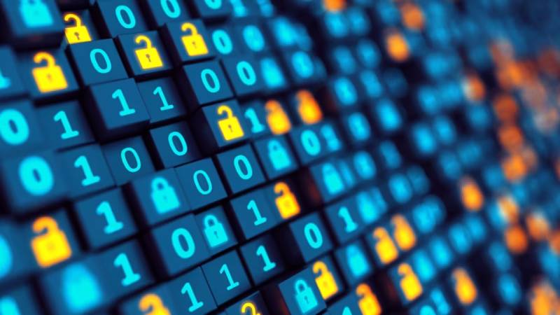 高坪区软件开发:以硬核实力,筑工业数字基石